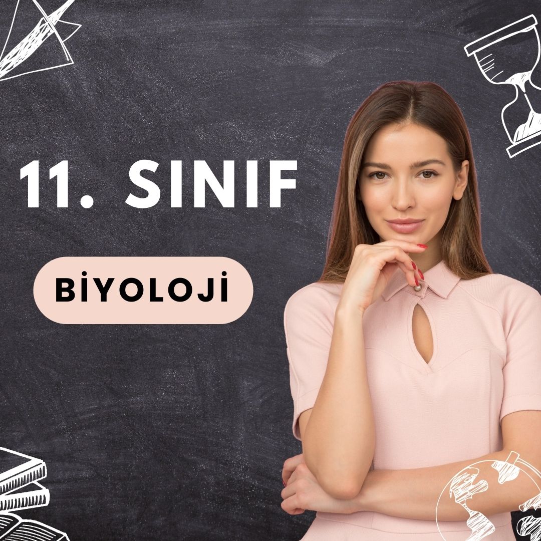 11. Sınıf Biyoloji (5 Kişilik)